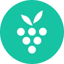Berrycast logo