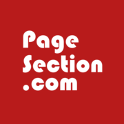 AI web page translator by pagesection.com logo