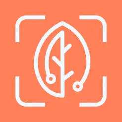 BiteRight AI tool logo