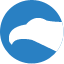 CityFALCON AI tool logo