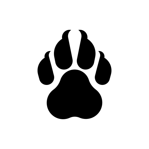 ClawCloud Run AI tool logo