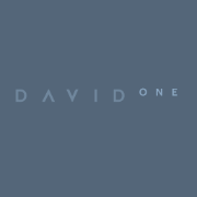 David One logo
