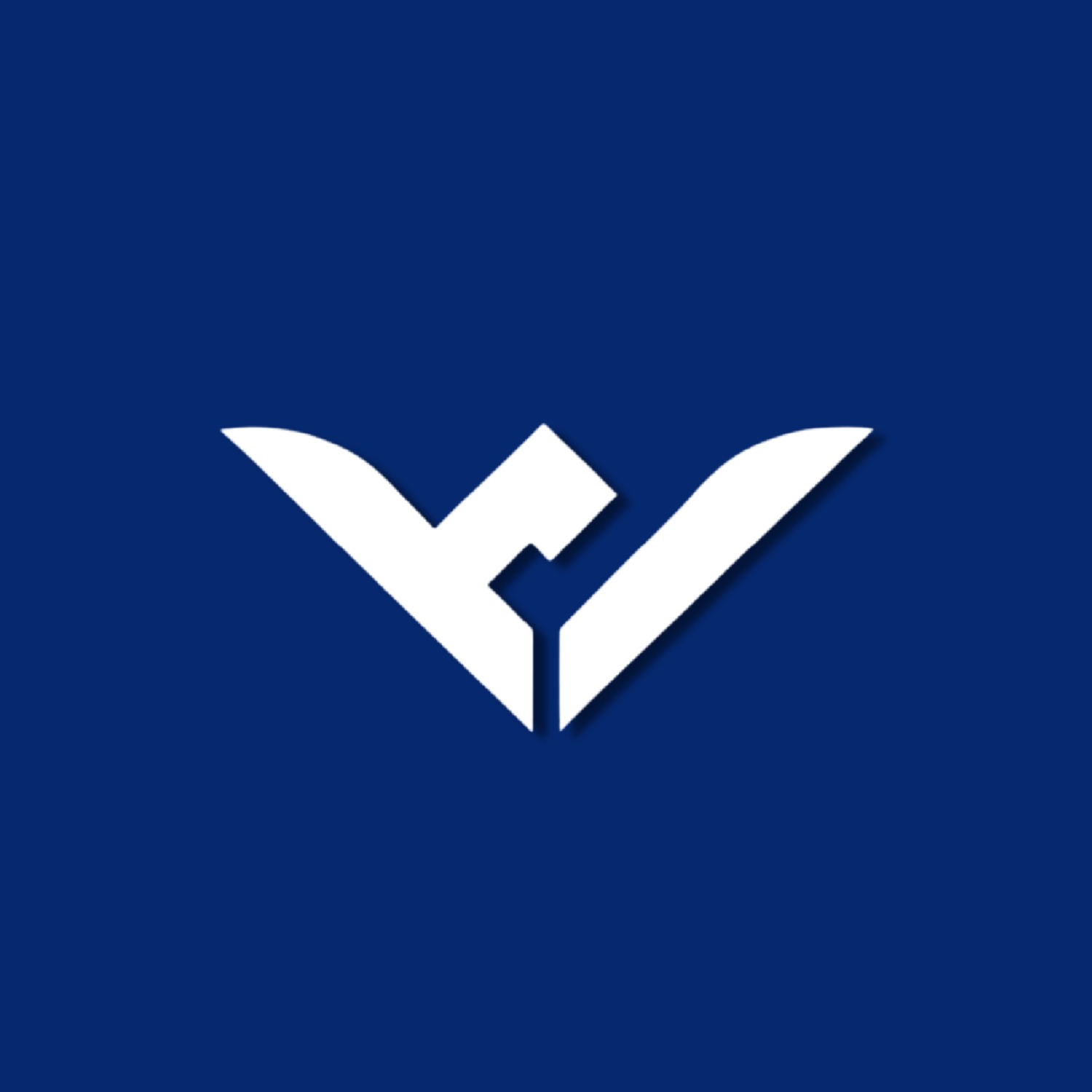HyggeX AI tool logo