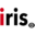 iris roads AI tool logo