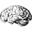 Namy.ai logo