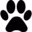 ShortVideoGen AI tool logo