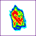 Mole Similarity Chrome Extension logo