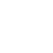 SlideStorm logo