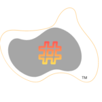 New Age Content Services LLP logo