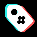 TikTok Video Tags & Summary Extension AI tool logo