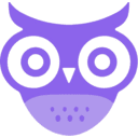 WiseGPT logo
